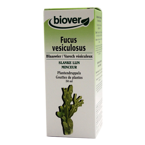 Gouttes de plantes Fucus vesiculosus